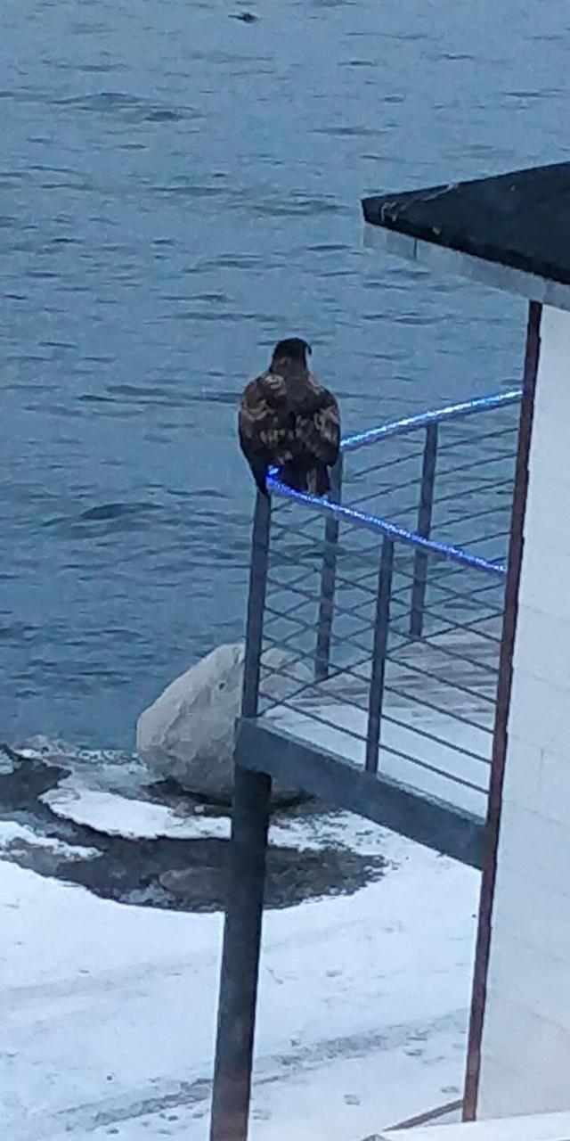 Eagle View Nuuk Exterior foto